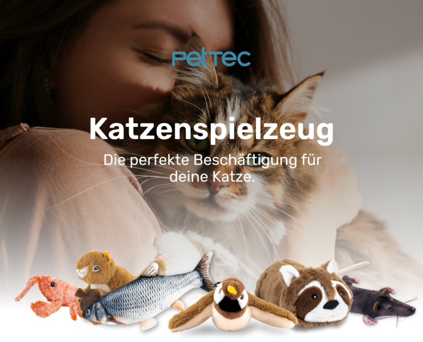 PetTec Katzenspielzeug