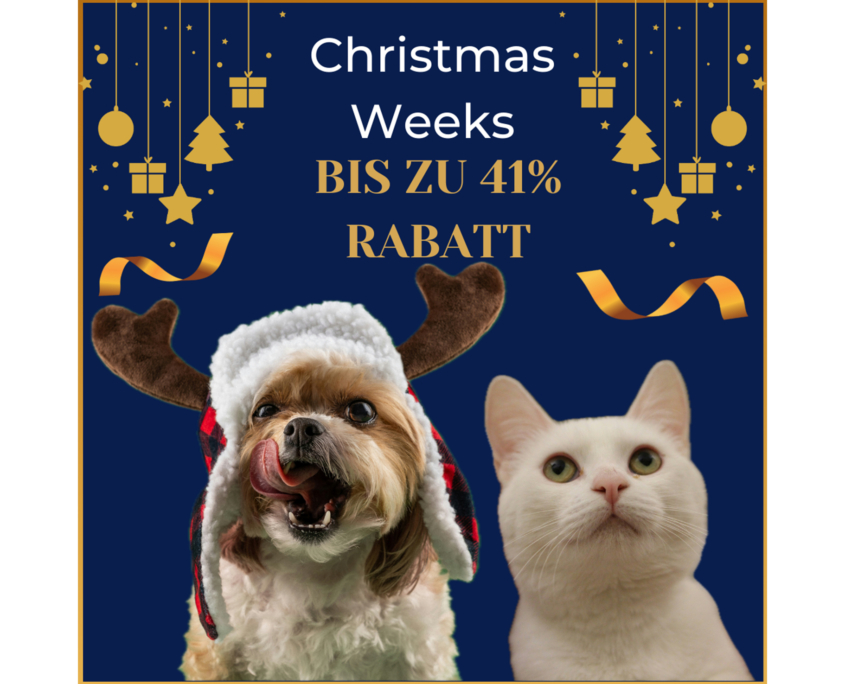 PetTec Christmas Deals